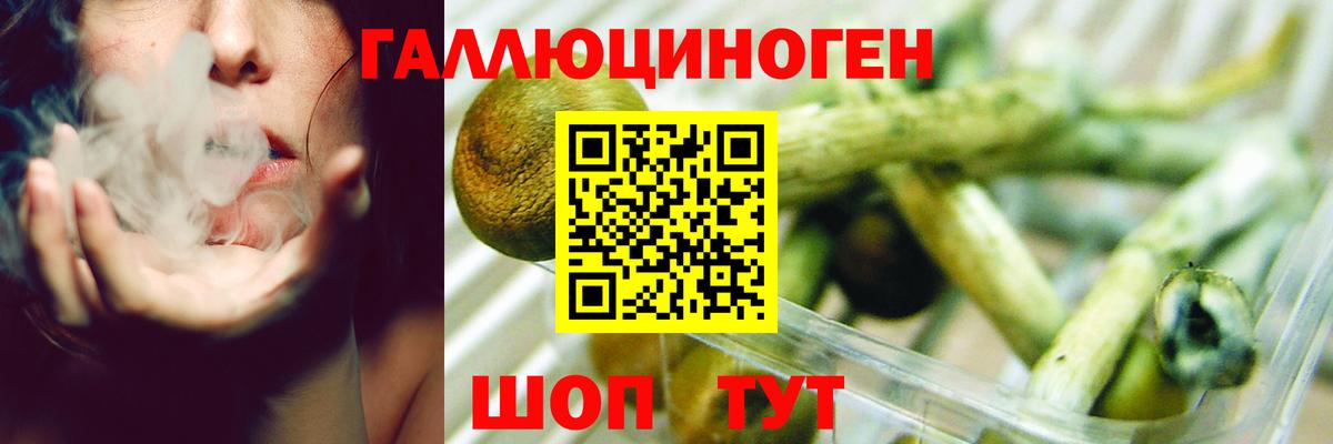 Псилоцибиновые грибы Psilocybine cubensis Грозный